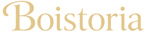 cropped boistoria logo.png